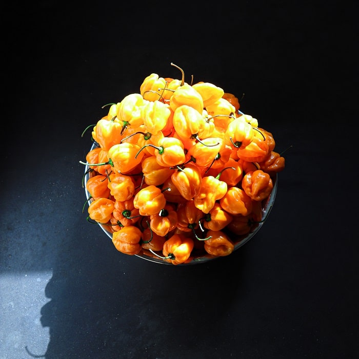 swet_Hot_Sauce_Lemon_Hard_Natural_Belgium_Berlin_Soul_Objects