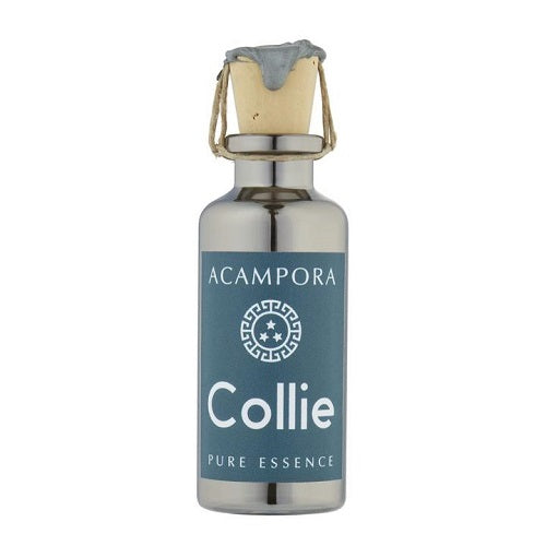 Bruno_Acampora_Collie_Pure_Essence_Soul_Objects