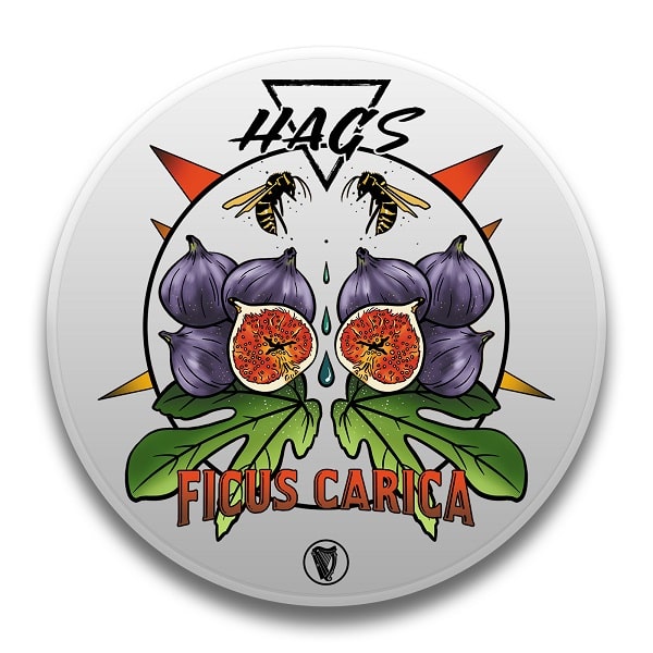 HAGS_Ficus_Carica_Rasierseife_Shaving_Soap_Guinnes_Base_Greece