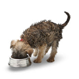 Cosi_Tabellini_Hundenapf_Napf_Tier_Katze_Made_in_Italy