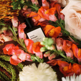 Versatile_Accrodisiaque_Extrait_de_Parfum_Roll_On_Paris