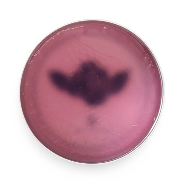 brosh_TGP_Design_Pomade_Japan