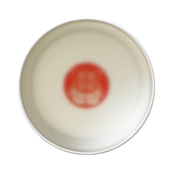 evisen-skateboards-x-brosh-pomade-japan-115g
