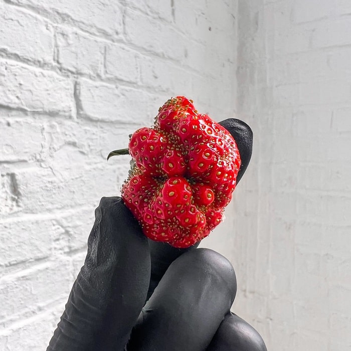 swet_Hot_Forever_Natural_Belgium_Berlin_Soul_Objects