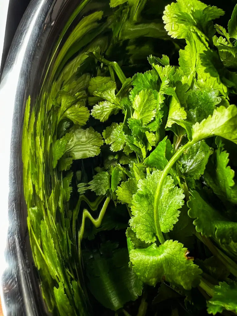 swet_Hot_Sauce_Zhug_Natural_Belgium_Berlin_Soul_Objects