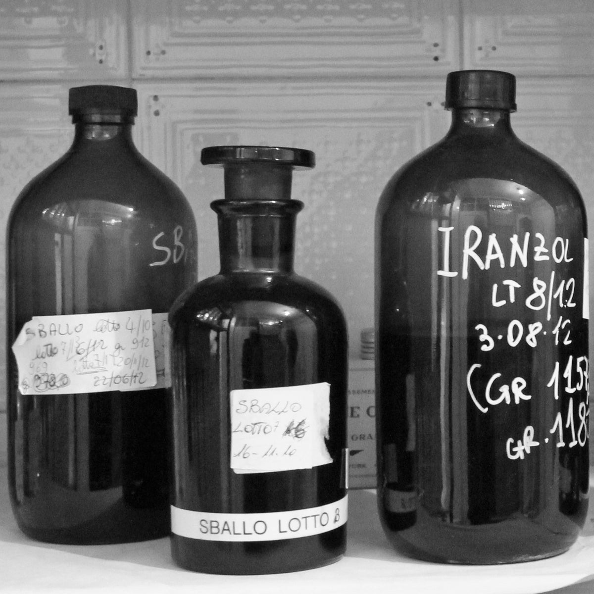 Acampora COLLIE Pure Essence