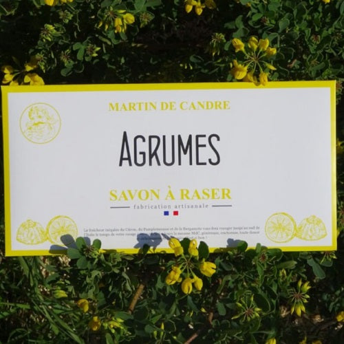 Martin_de_Candre_Agrumes_Rasierseife_Envelope_Luxus_Frankreich